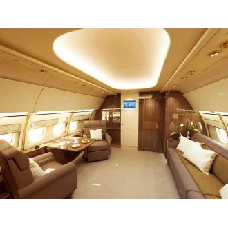 Airbus 318 Elite