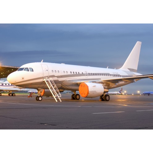 Airbus 318 Elite