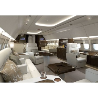 Airbus 318 Elite