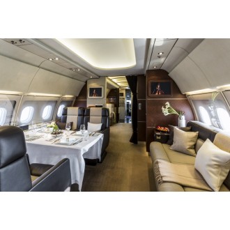 Airbus 318 Elite