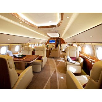 Airbus 318 Elite