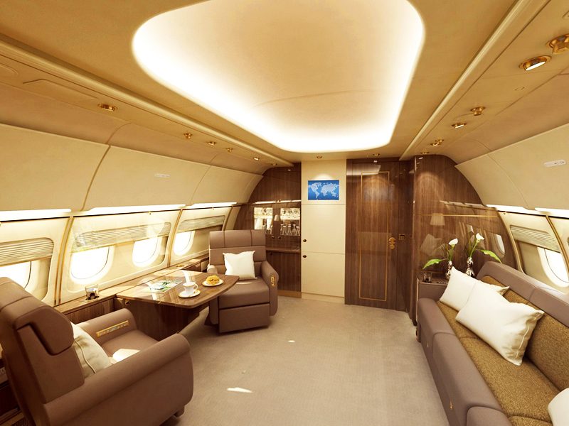 аренда самолета Airbus 318 Elite