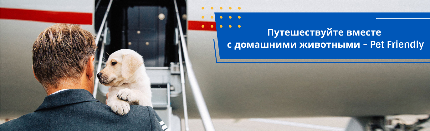 перелет с собакой на частном самолете